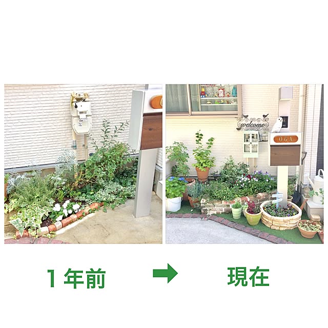 suzyさんの実例写真