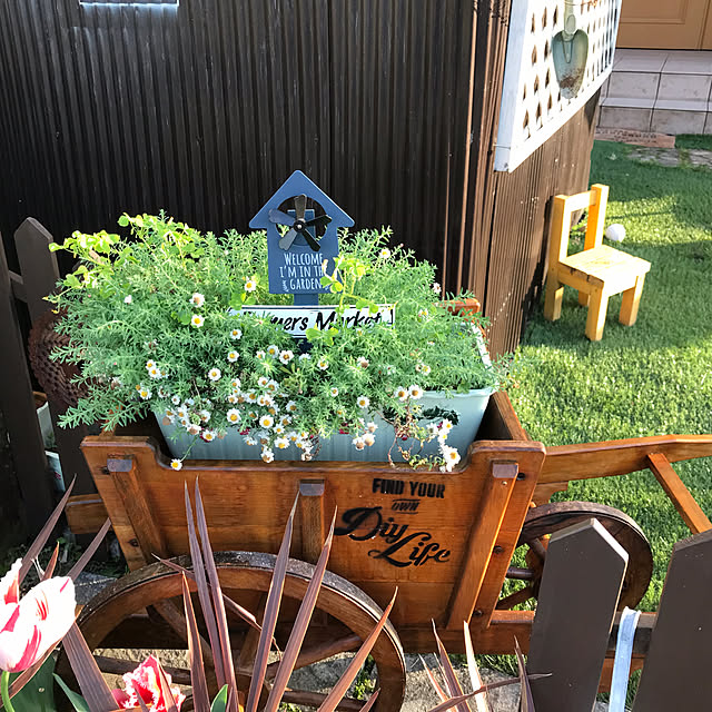 yoshiさんの部屋
