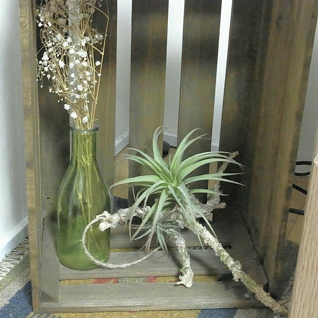 cccさんの実例写真