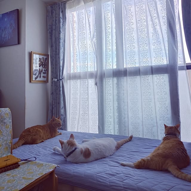 NOAHさんの部屋