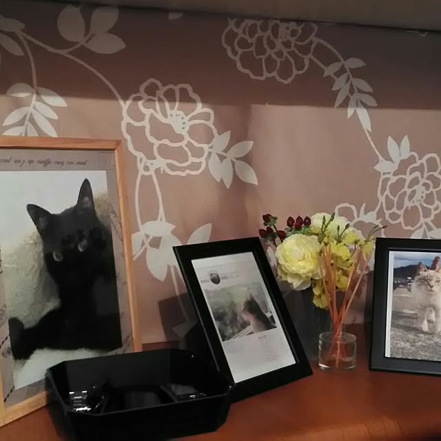 moddocchiさんの実例写真