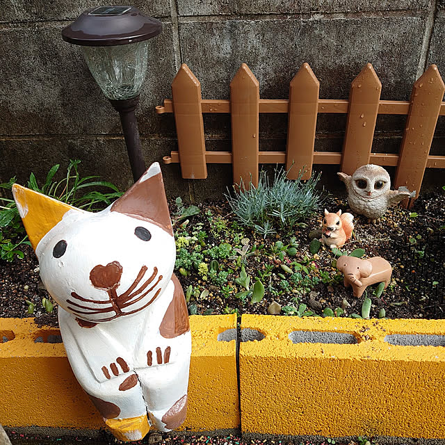 fukuさんの実例写真