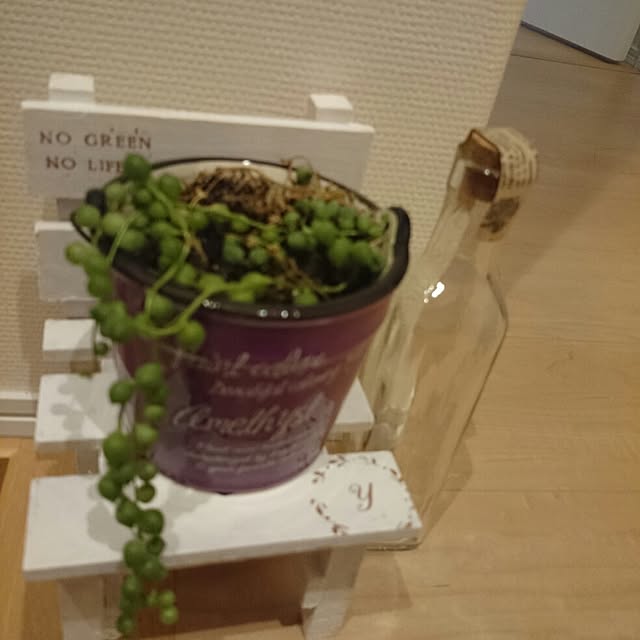 yoppさんの実例写真