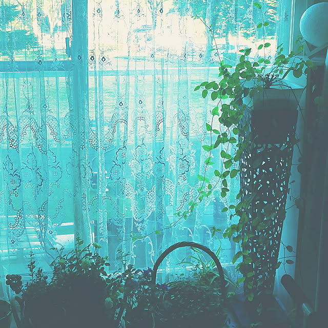 nyankonecoさんの実例写真
