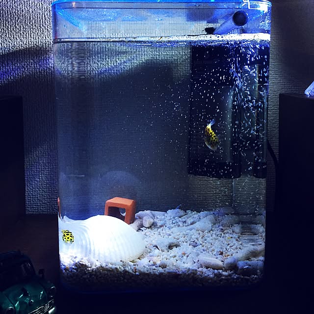 R2D2さんの実例写真
