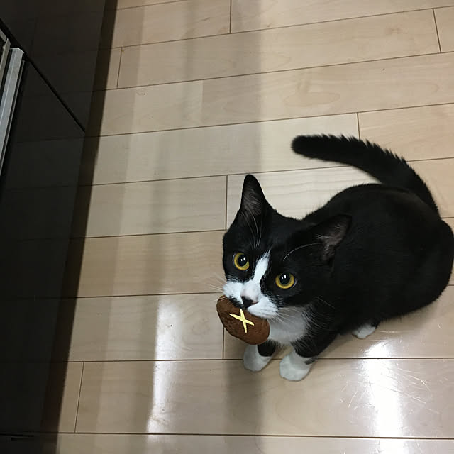 nekoさんの実例写真