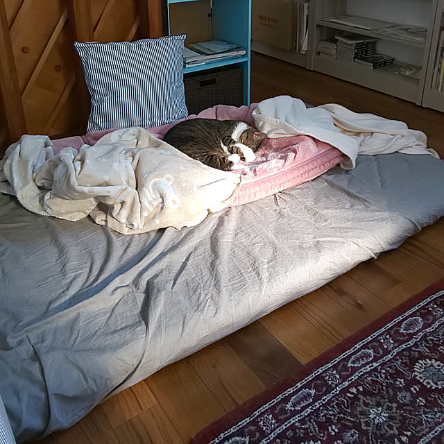 37さんの実例写真