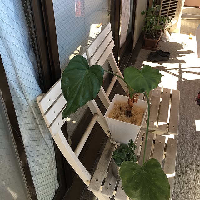 yukariさんの実例写真