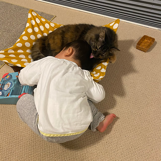 mikomaruさんの実例写真