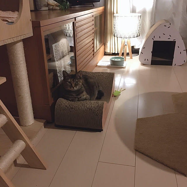 oasisさんの実例写真