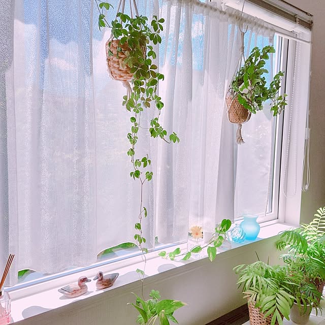 surviveさんの実例写真