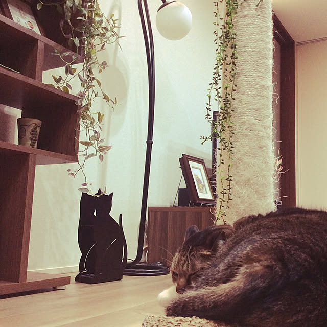 houenさんの実例写真