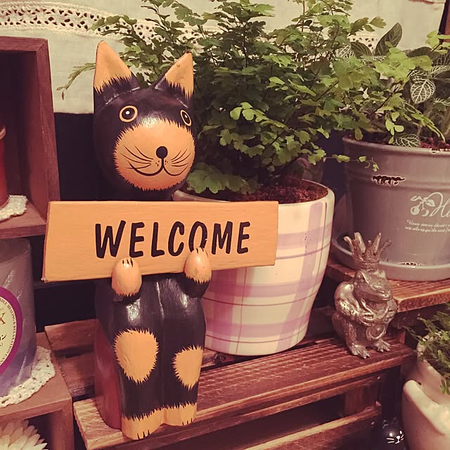 pinekonkさんの実例写真