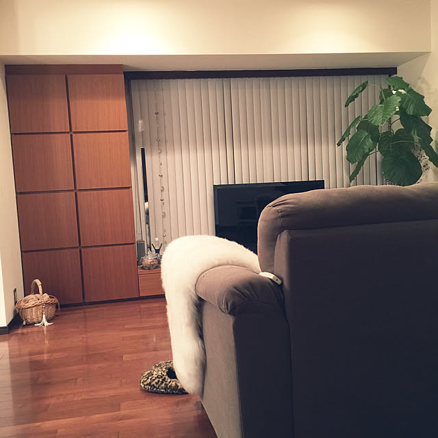 HKSさんの実例写真
