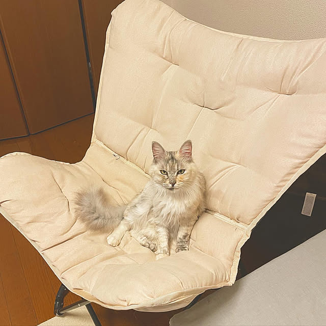 chachaさんの実例写真