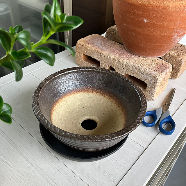 koshiregutyoさんの実例写真