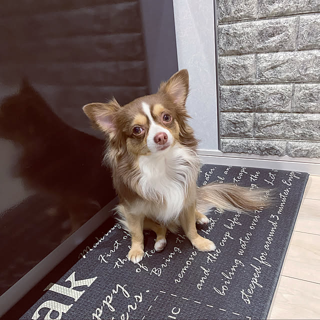 chocoさんの実例写真