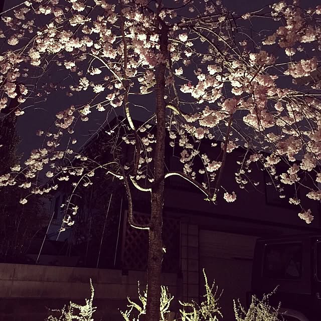 Kumiさんの実例写真