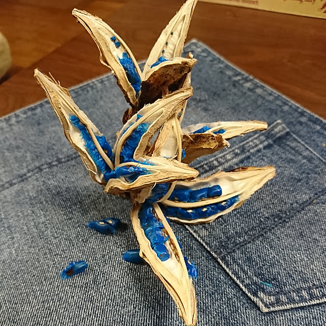 tropical_happy_lifeさんの実例写真