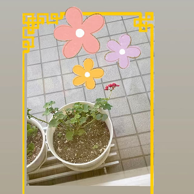 YuuKoさんの実例写真