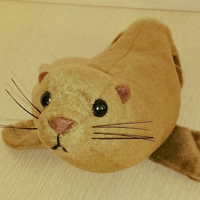 todorinkoさんの実例写真