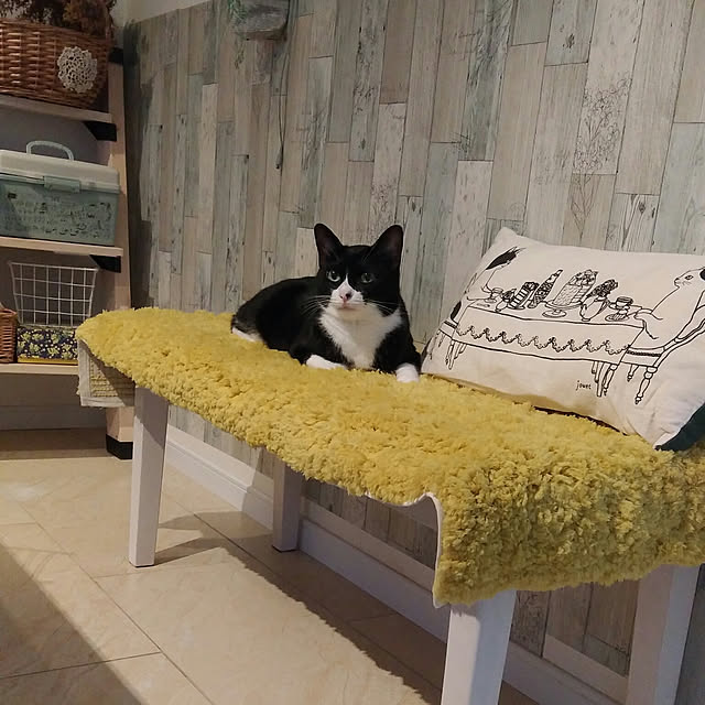 Gomaさんの実例写真