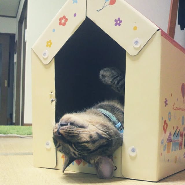 ベッド周りのインテリア実例 - 2017-07-06 23:20:55