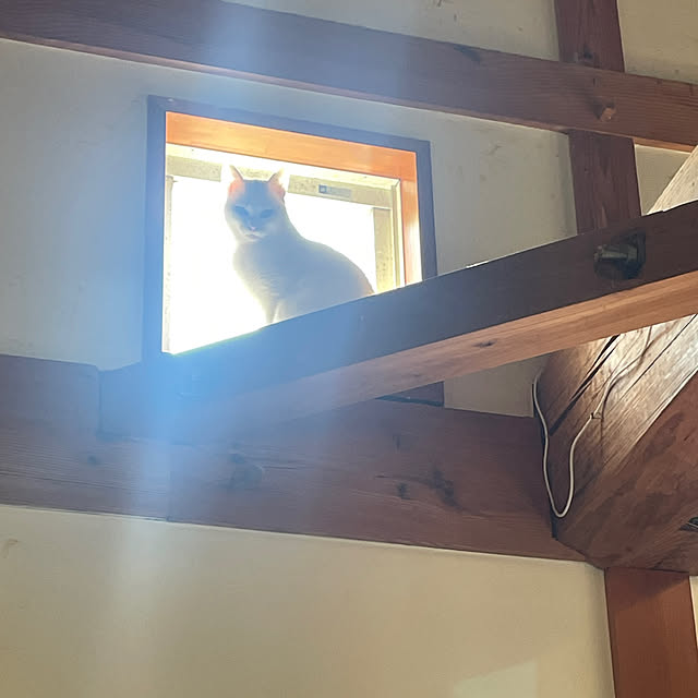 328さんの部屋