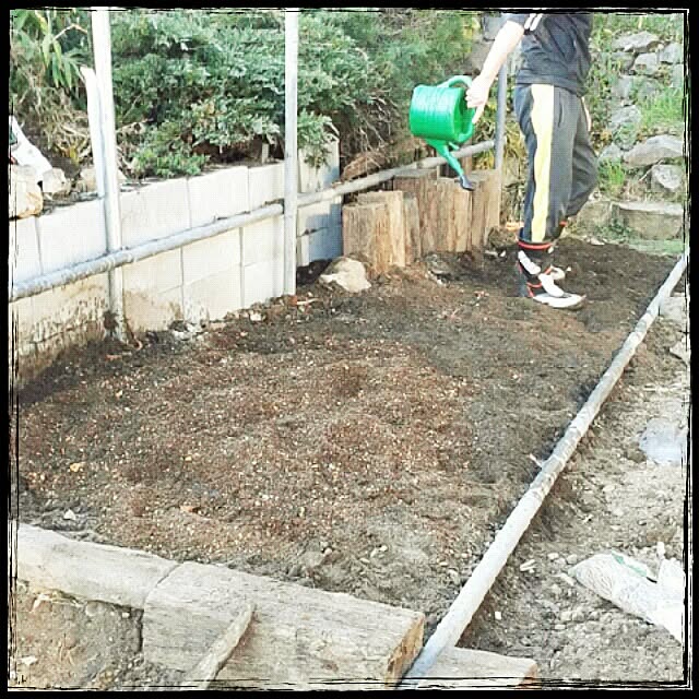 aiuekkoさんの実例写真