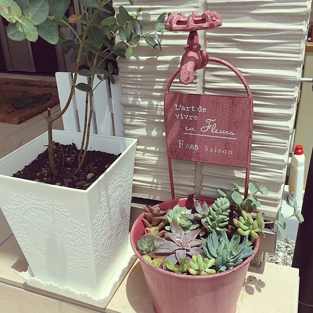 moriさんの実例写真