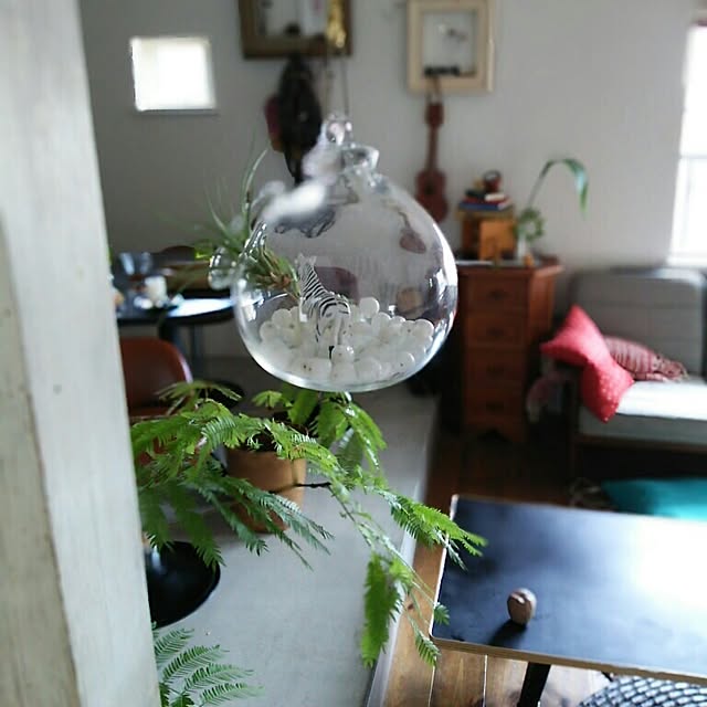 kaorinさんの実例写真