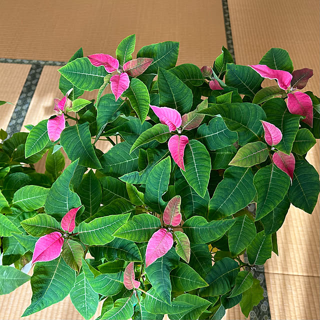 Fuku222さんの部屋