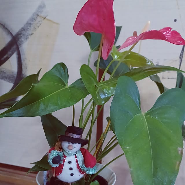 hiro.904さんの部屋