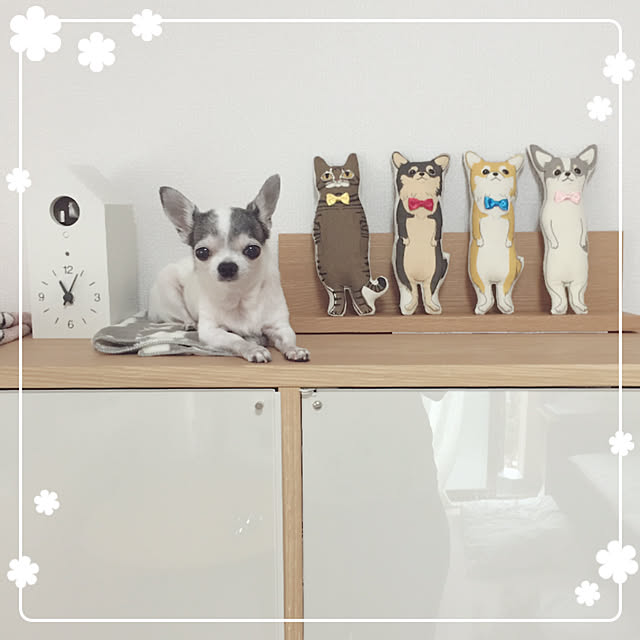 Emiさんの実例写真