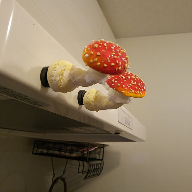 mogu0418さんの実例写真