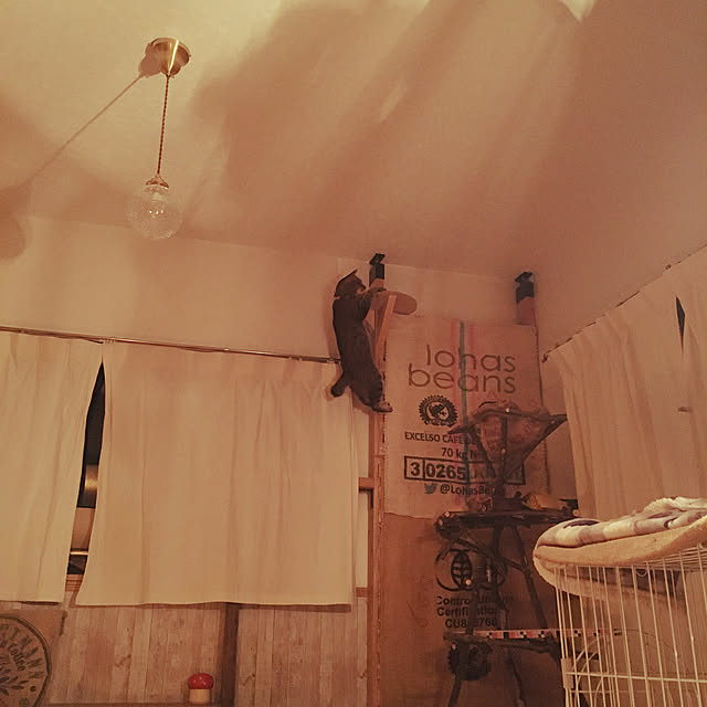 Mさんの実例写真