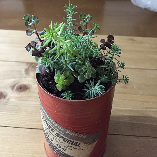 moririnさんの実例写真