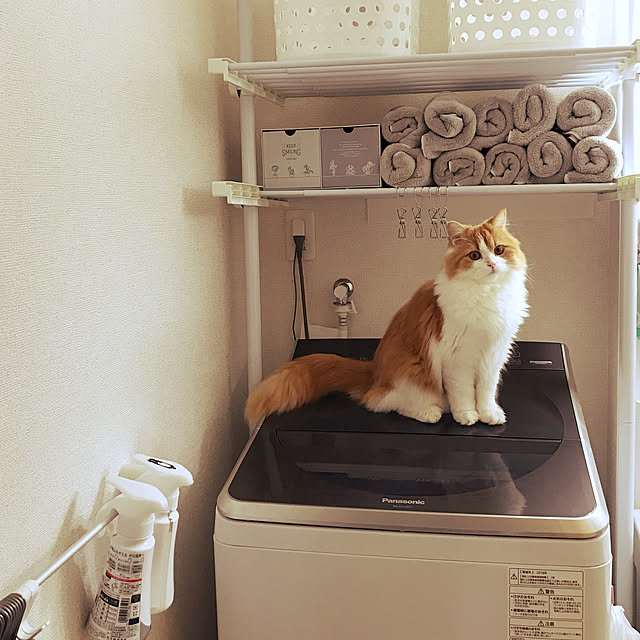 H.Tさんの実例写真