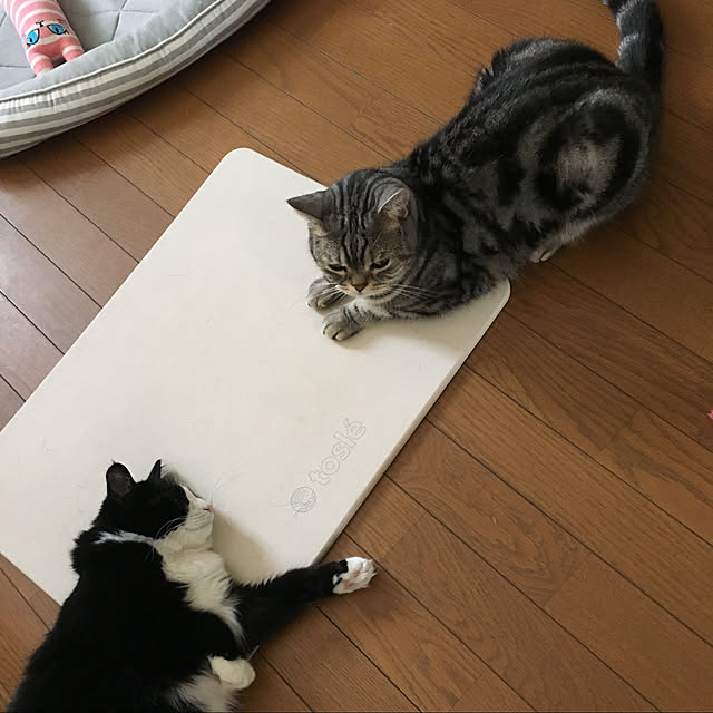 mame-minさんの実例写真