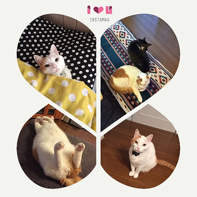 Rettiさんの実例写真