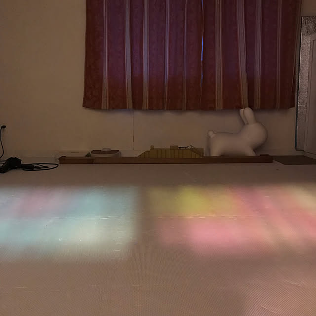 うさぎ/子供と暮らす/部屋全体のインテリア実例 - 2019-05-13 22:14:54