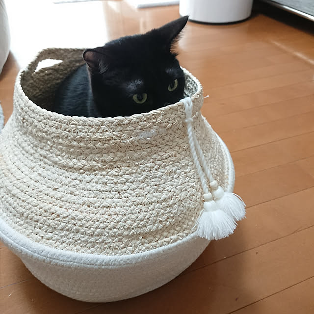 maikyさんの実例写真