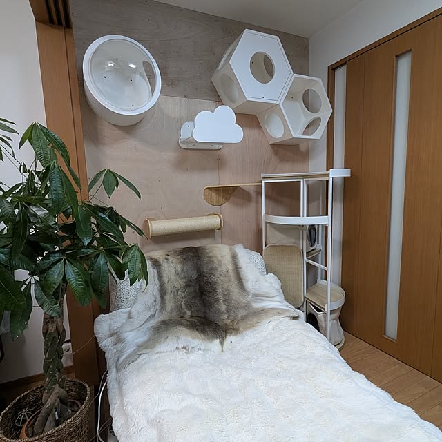 diopucciさんの実例写真