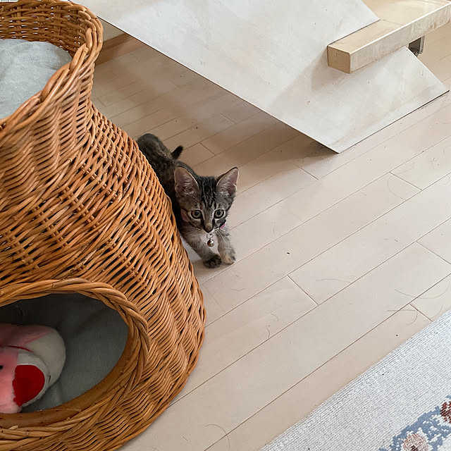 chinaさんの部屋