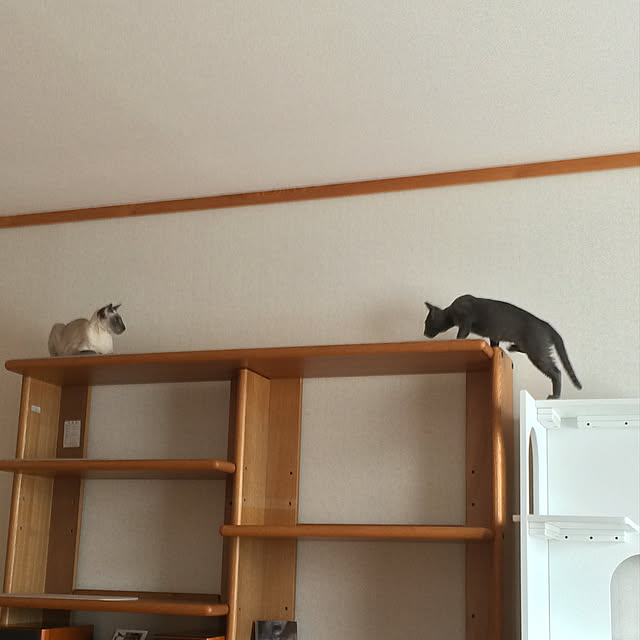 mujinekoさんの実例写真