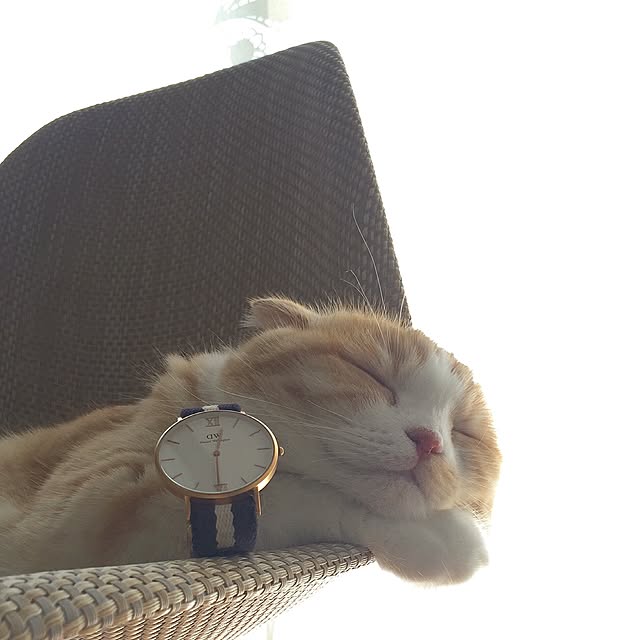 mochiさんの実例写真