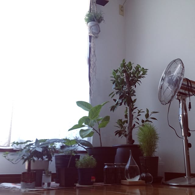 mさんの実例写真