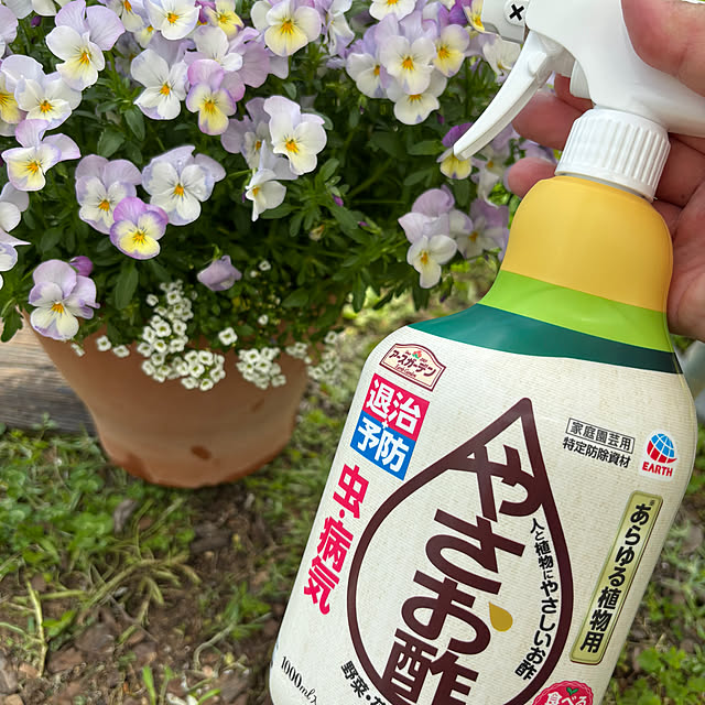 madeleineさんの実例写真