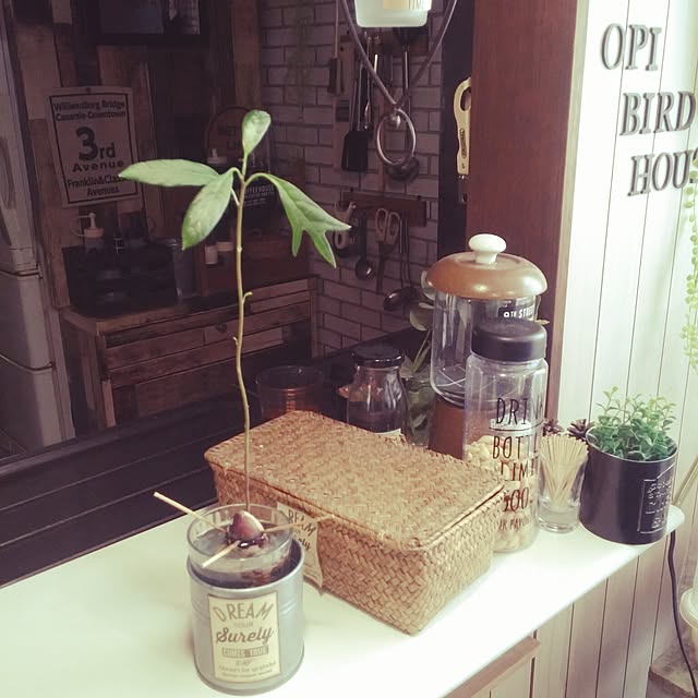 opiopiopiさんの実例写真