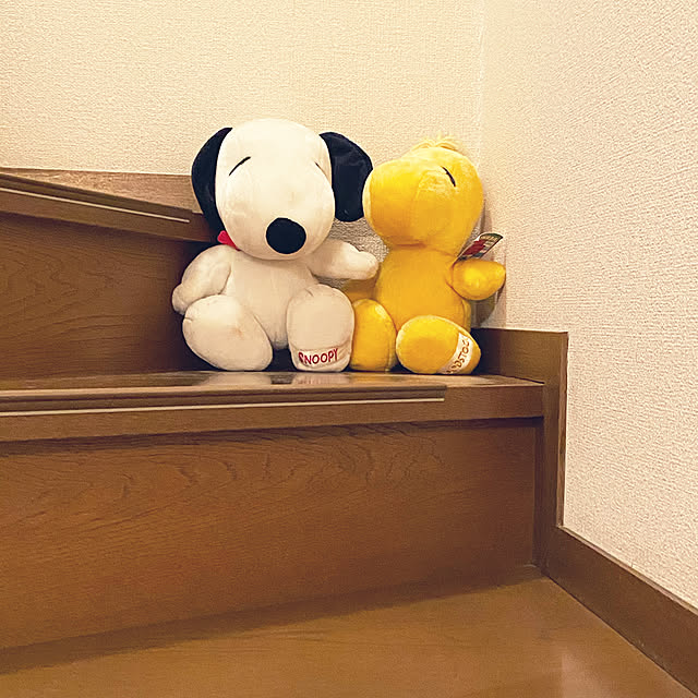 ash1024さんの実例写真